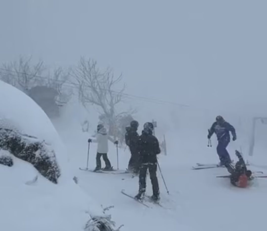 卧槽！今年最冷的一天，澳大利亚瑟瑟发抖！墨尔本周边，大雪纷飞！澳洲人要注意啦，一种恶心的生物开始泛滥.....