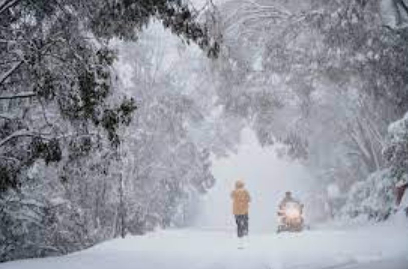 卧槽！今年最冷的一天，澳大利亚瑟瑟发抖！墨尔本周边，大雪纷飞！澳洲人要注意啦，一种恶心的生物开始泛滥.....