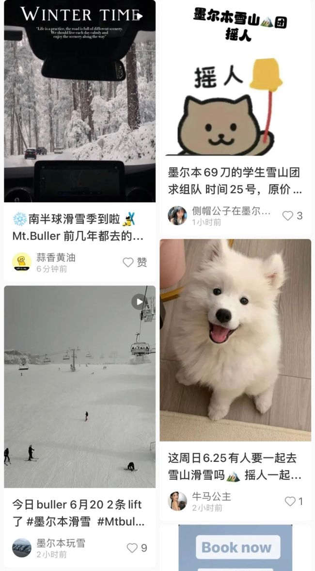 山下5℃, 山上大雪开启墨尔本滑雪季! 大批华人已上山开板, 顶尖雪场门票销量飙升16%!