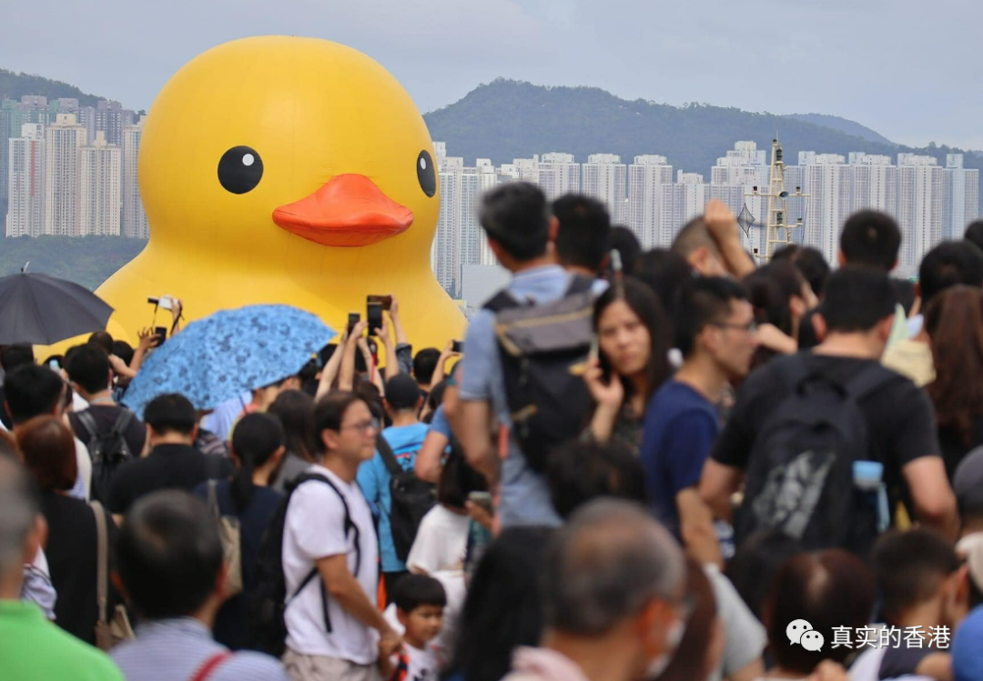 香港又发生砍人事件！麦当劳员工被训话后暴气挥双刀砍伤经理（组图）