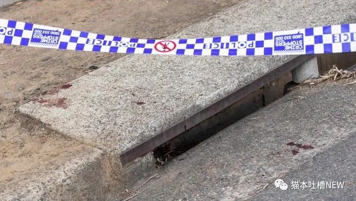 悉尼44岁华男疑因毒品交易遭枪击身亡，警方在现场逮捕2男并起诉
