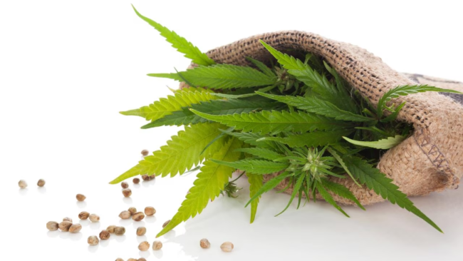 澳洲老奶奶怀疑自己买到假货, 直接找警察报案! 结果反而被控多项罪名, 罚款$750