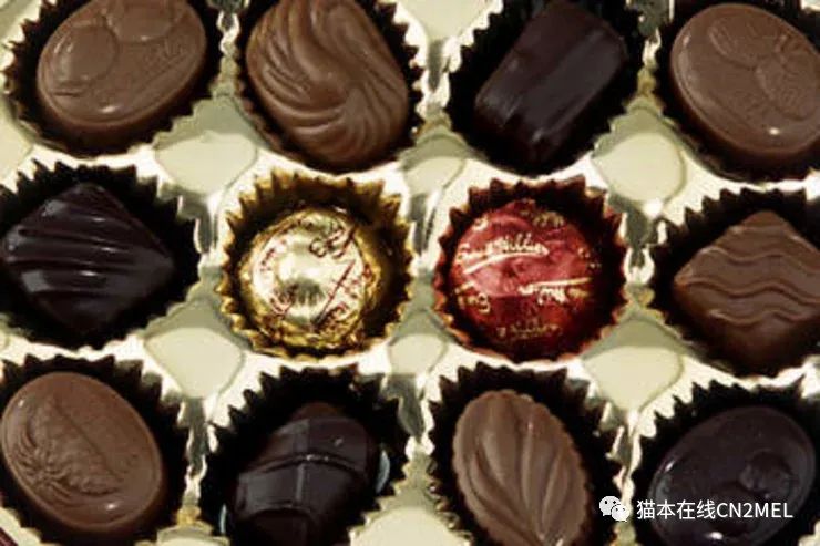 唏嘘！澳洲历史最悠久巧克力厂经营困难再度自愿清产