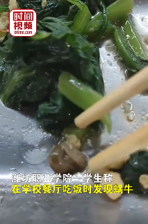 吃出“鸭脖”之后，又吃出了“蛆虫”！校园食堂有多少黑幕？（组图）