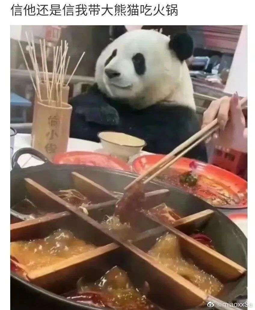 什么！“文件传输助手是人？”不是吧那我发的那些不可描述…