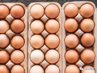 Woolies宣布淘汰笼养鸡蛋 2025年起只卖非笼养蛋